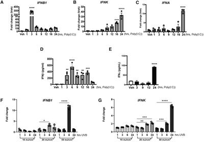 A critical role for IFN-β signaling for IFN-κ induction in keratinocytes
